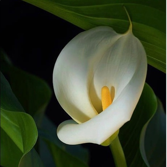 Happy Autumn into Winter!🌷 - Picture 15 of 16